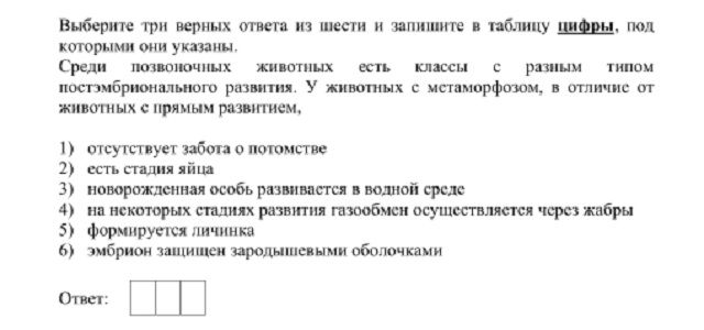 Вход в кракен