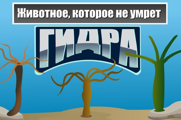 Кракен верное зеркало