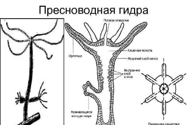 Супернет ссылка